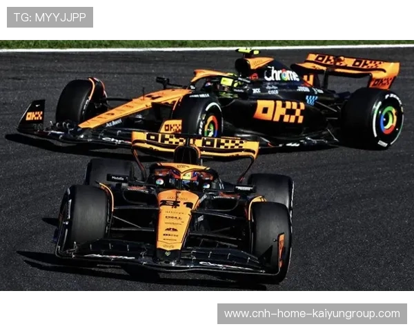 皮亚斯特里专注单圈一致性